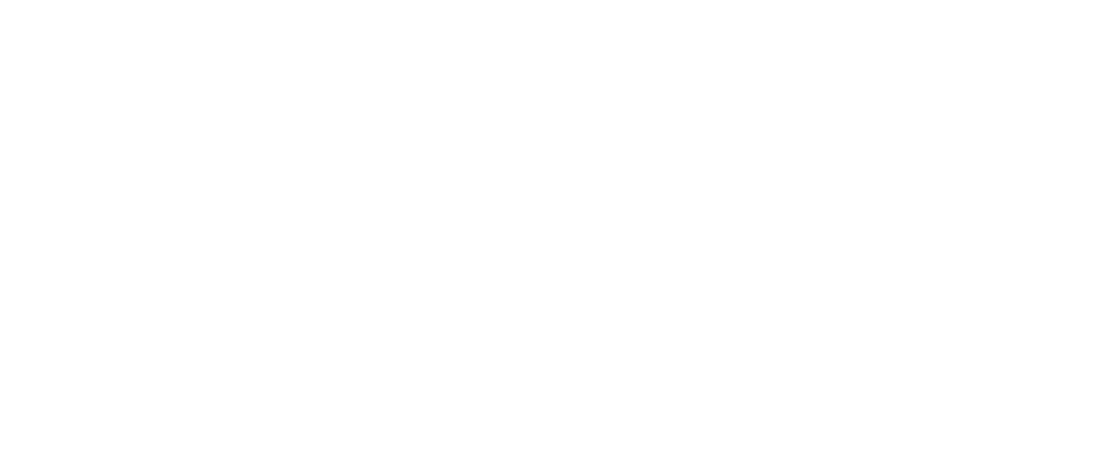 race facer2